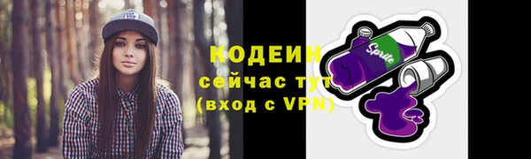 СК Вязьма