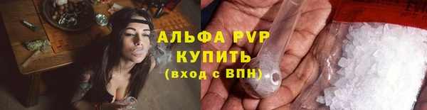 СК Вязьма