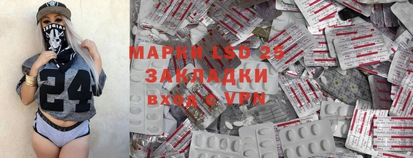 прущая мука Вяземский