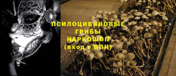 прущая мука Вяземский