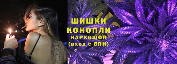 СК Вязьма