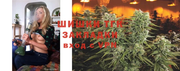 СК Вязьма