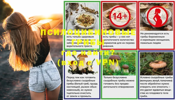 сатива Тихорецк
