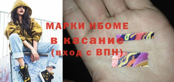 прущая мука Вяземский
